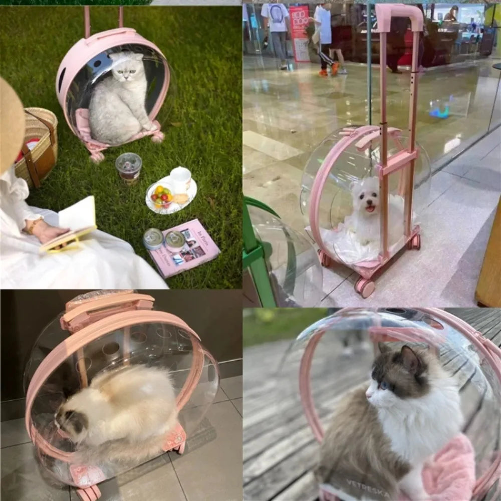 Valise à roulettes pour animaux de compagnie, étui de beauté transparent, portable et durable, Electrolux pour chats et petits chiens