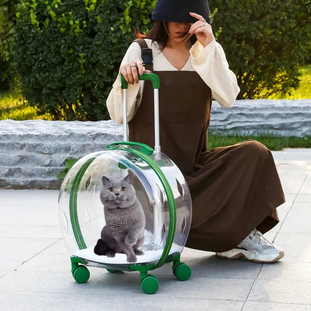 Valise à roulettes pour animaux de compagnie, étui de beauté transparent, portable et durable, Electrolux pour chats et petits chiens