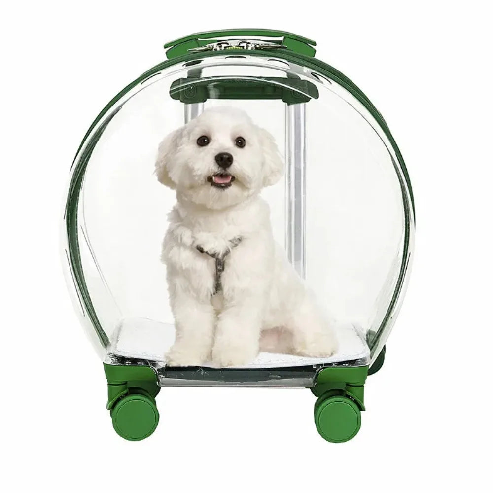 Valise à roulettes pour animaux de compagnie, étui de beauté transparent, portable et durable, Electrolux pour chats et petits chiens